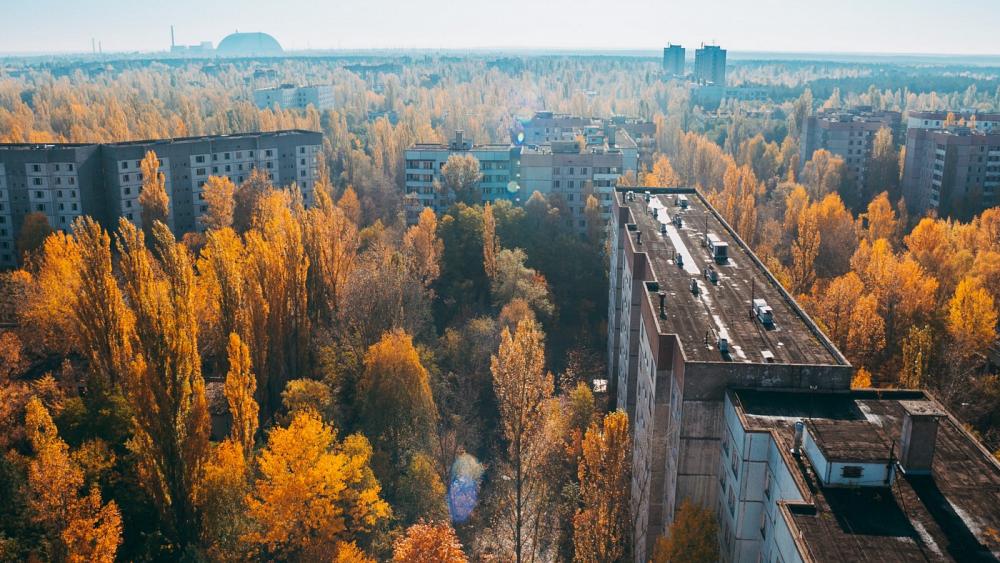 Chernobyl: Why the nuclear disaster was an environmental success | Living